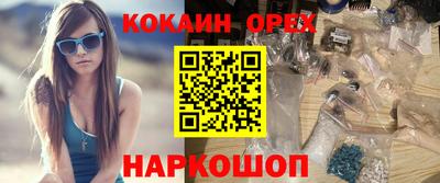 шишки Кингисепп