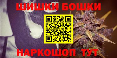 шишки Кингисепп