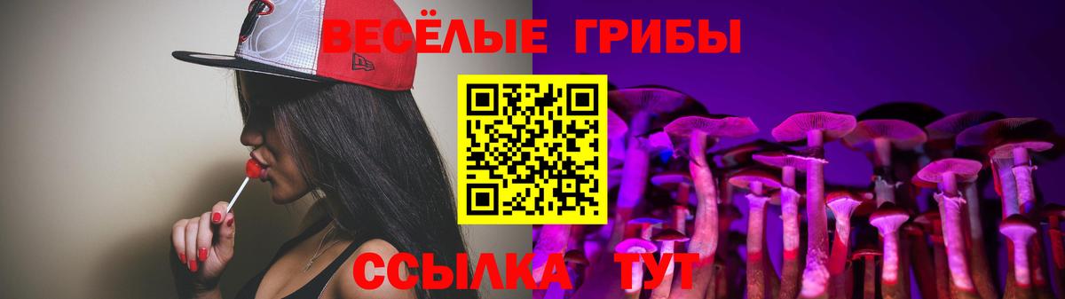 Коркино  Галлюциногенные грибы Psilocybe  Вход с VPN 